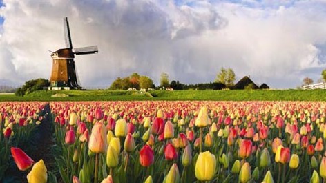 荷兰netherland